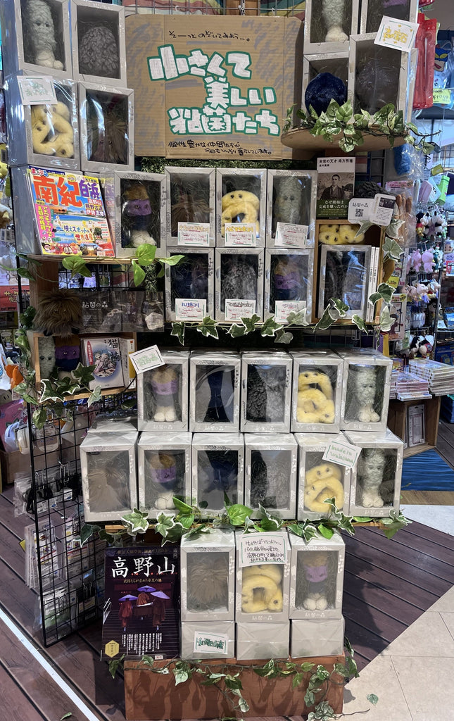 【新規お取扱い店について】ヴィレッジヴァンガードイオンモール和歌山店