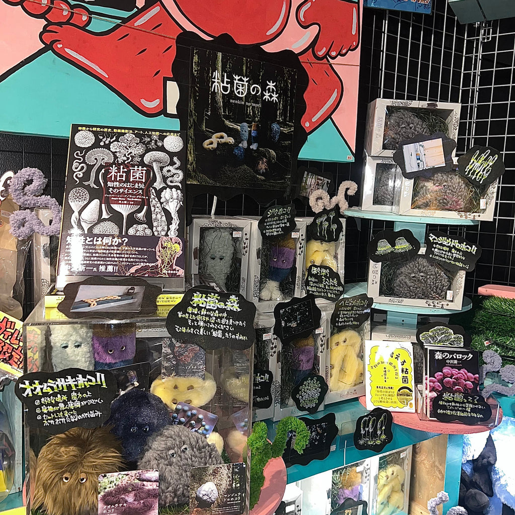 【新規お取り扱い店について】ヴィレッジヴァンガード渋谷本店様