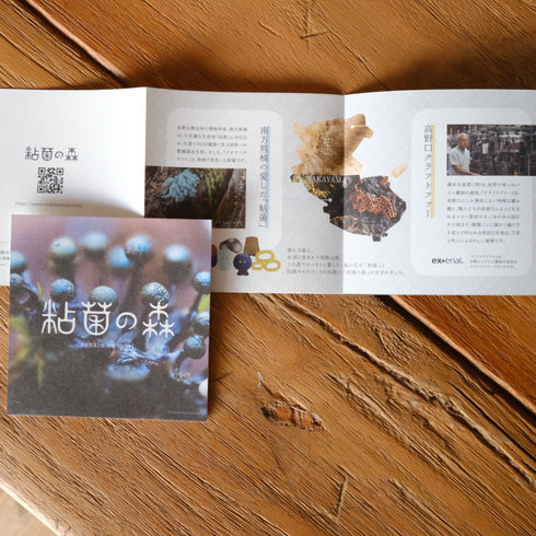 オオムラサキホコリ