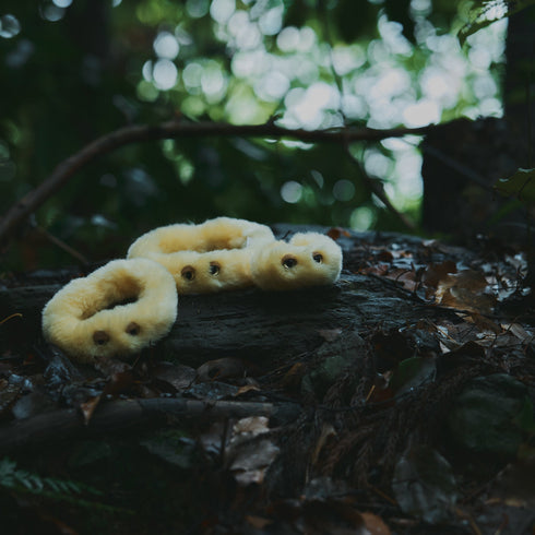 ヘビヌカホコリ