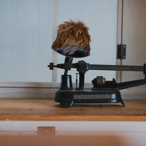 オオムラサキホコリ