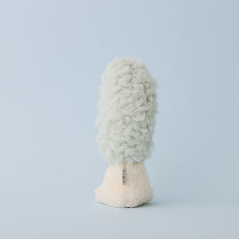 アオウツボホコリ