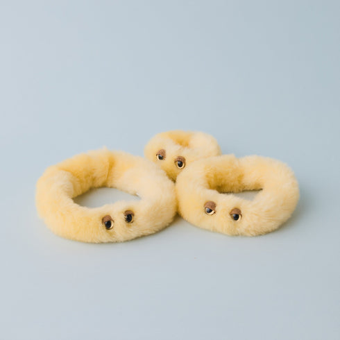 ヘビヌカホコリ