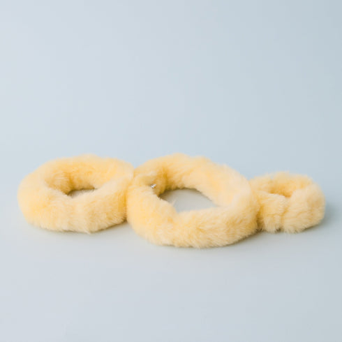 ヘビヌカホコリ