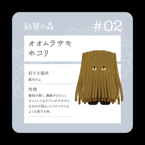 オオムラサキホコリ